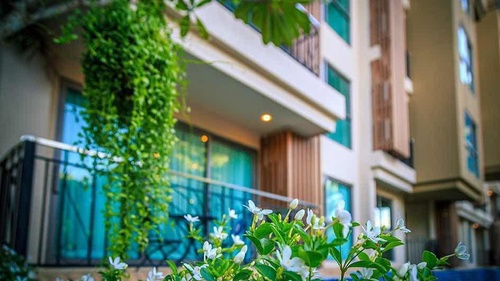 City Garden Tropicana photo