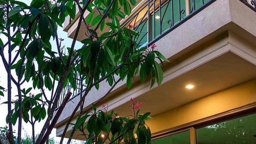 City Garden Tropicana photo