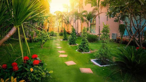 City Garden Tropicana photo