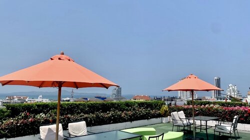 Art on the Hill photo