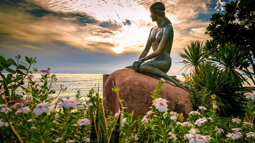 Paradise Ocean View photo