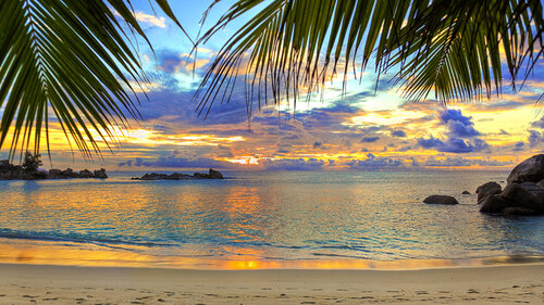 City Garden Pratumnak photo