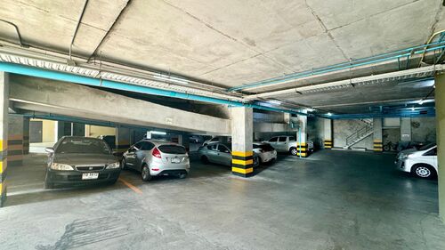 Siam Oriental Twins photo