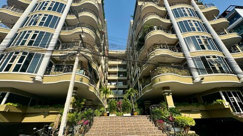 Siam Oriental Twins photo