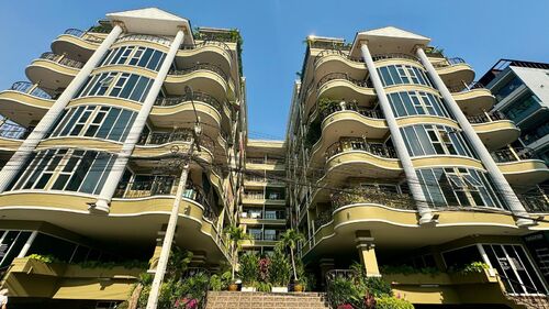 Siam Oriental Twins photo