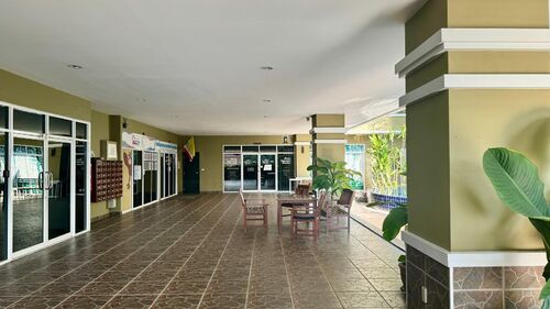 Siam Oriental Twins photo