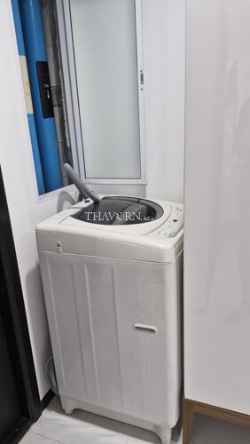 photo flat Siam Oriental Twins