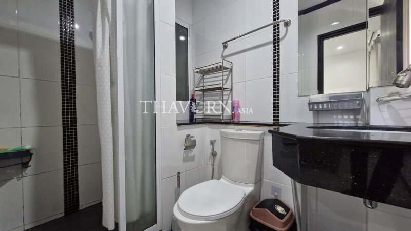 photo flat Siam Oriental Twins