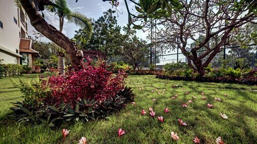 Leela Paradise Residence photo