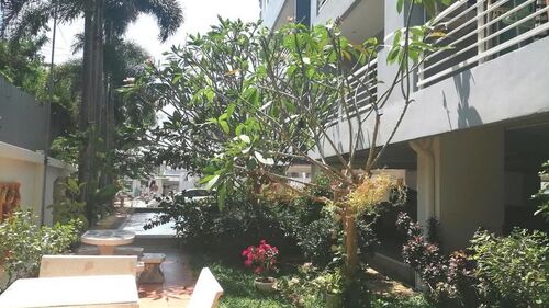 Beach and Mountain Condo photo