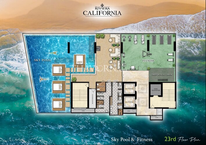 Планы этажей ЖК The Riviera California 9