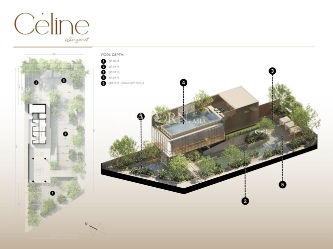 Floor plans Celine Wongamat 公寓 0