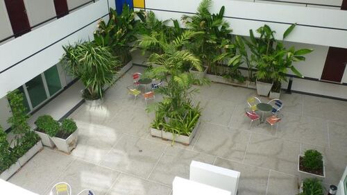 Art on the Hill photo